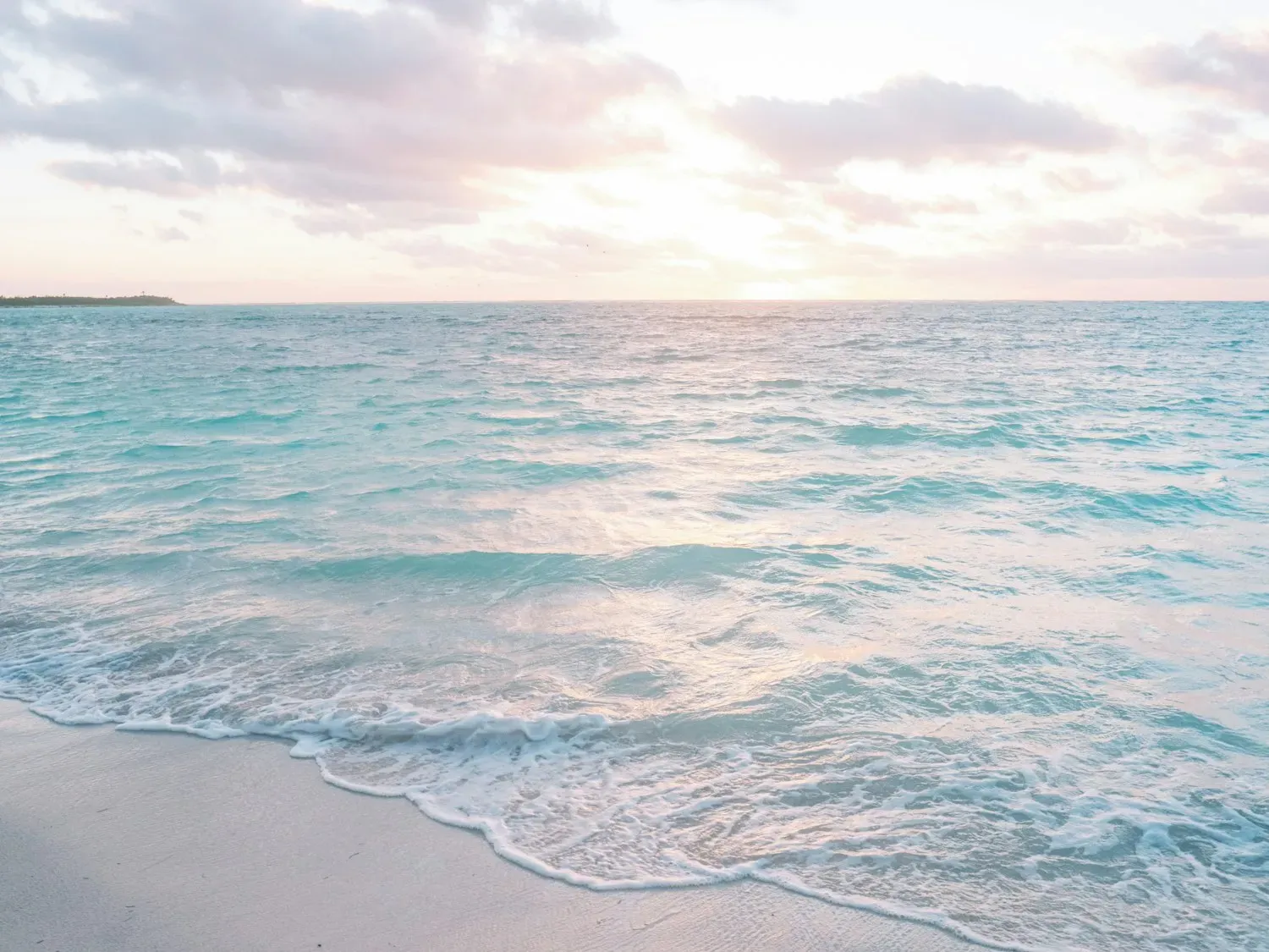 Calm ocean meeting the shore under a soft pastel sky