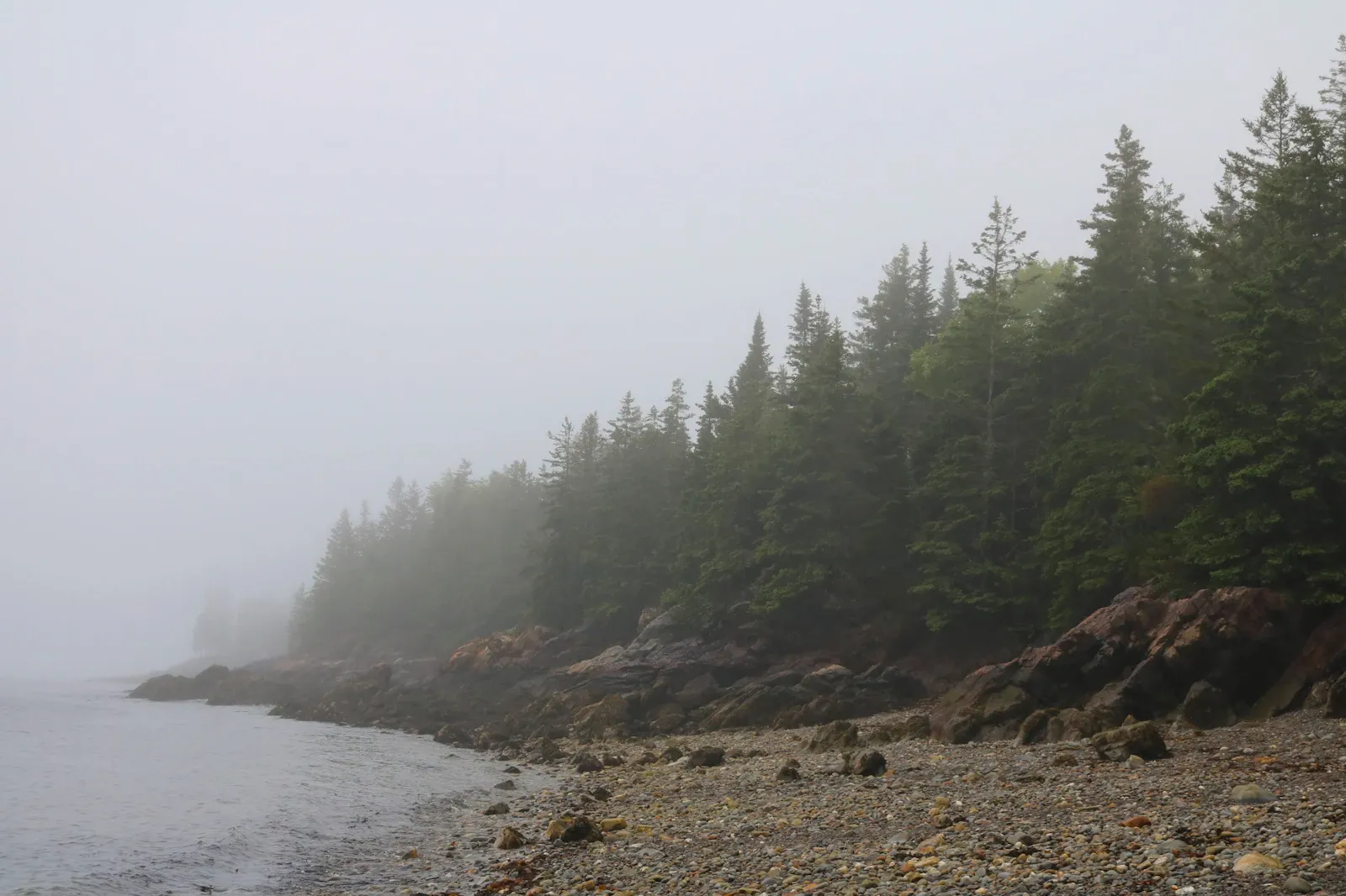 A calm, foggy Maine shoreline in soft light