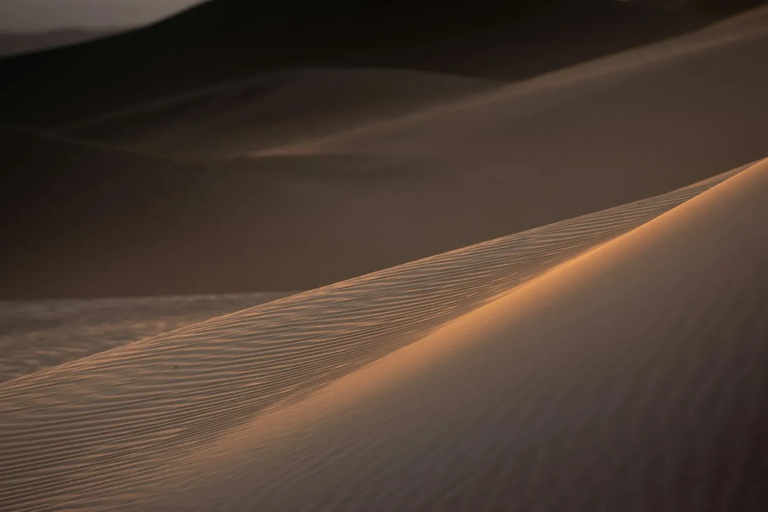 Gently rippled sand in soft warm light
