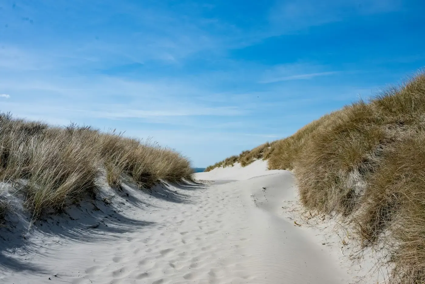 A sunlit sandy path winding through dune grass under a bright blue sky